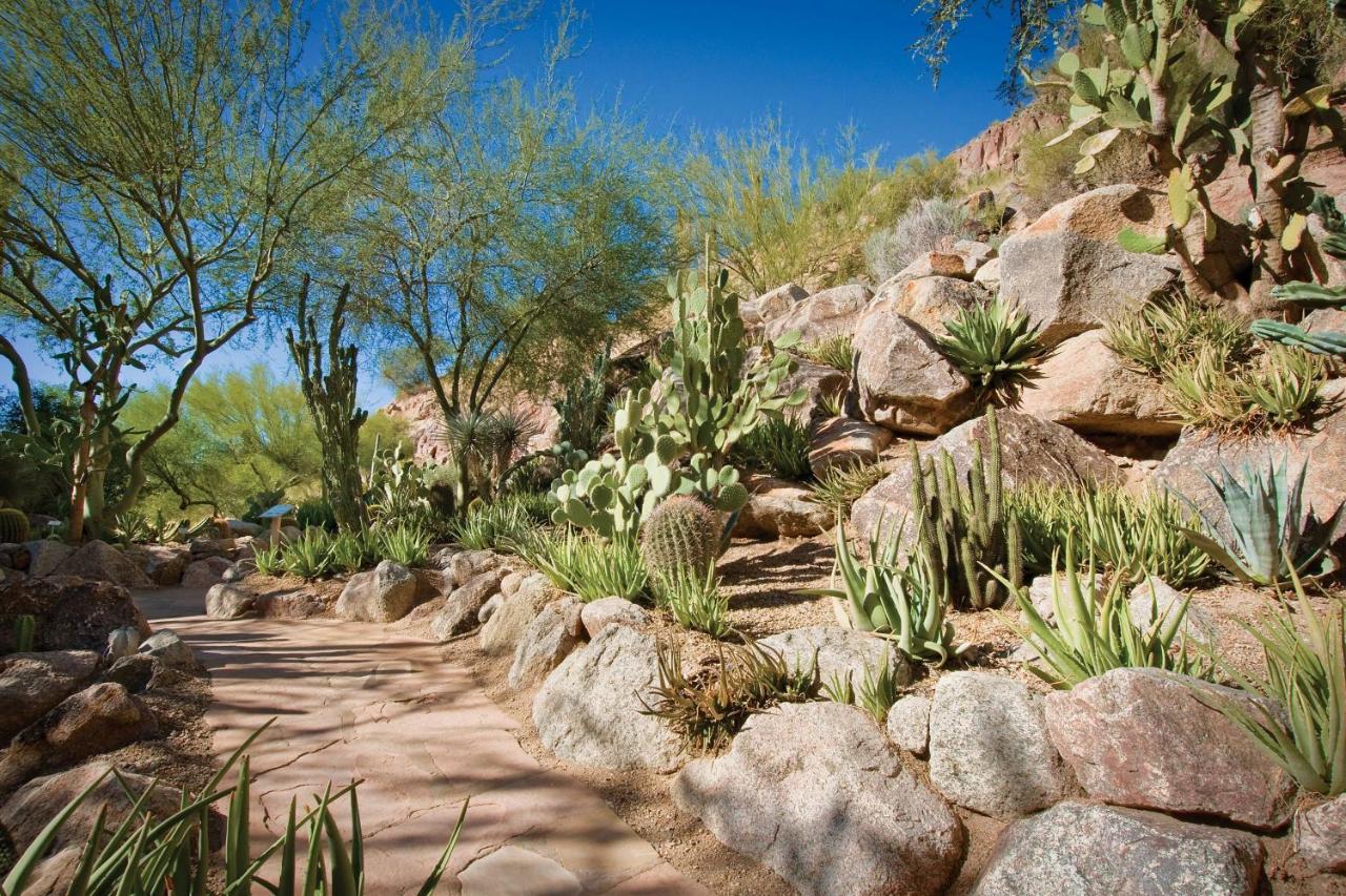 The Canyon Suites At The Phoenician, A Luxury Collection Resort, Scottsdale Paradise Valley Εξωτερικό φωτογραφία