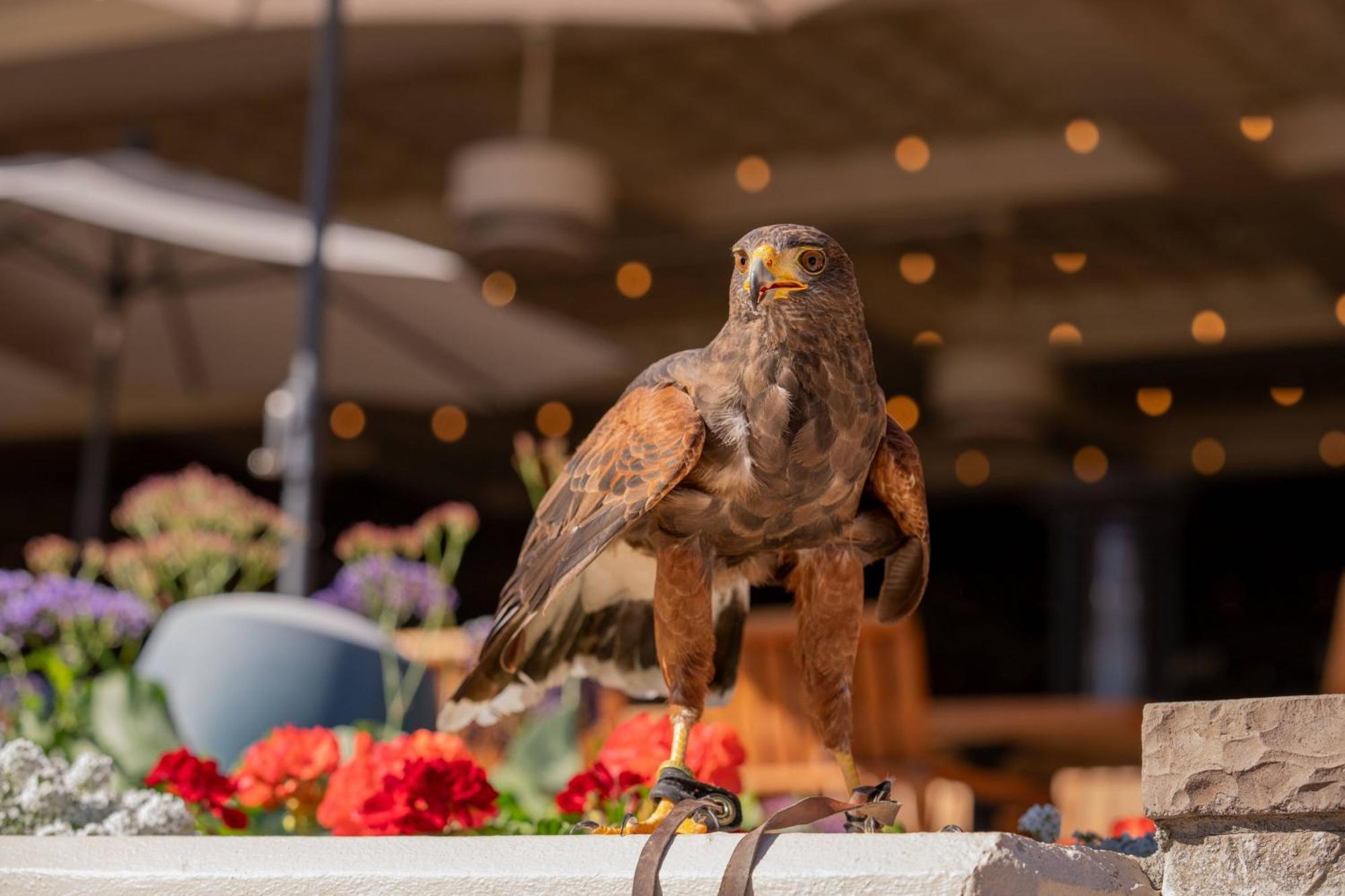 The Canyon Suites At The Phoenician, A Luxury Collection Resort, Scottsdale Paradise Valley Εξωτερικό φωτογραφία