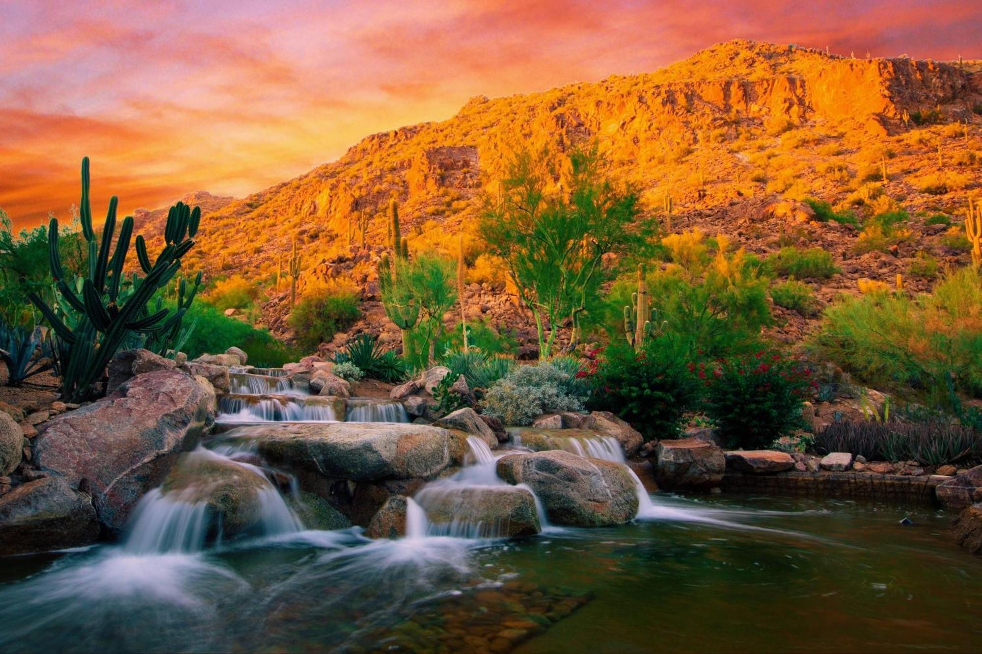 The Canyon Suites At The Phoenician, A Luxury Collection Resort, Scottsdale Paradise Valley Εξωτερικό φωτογραφία